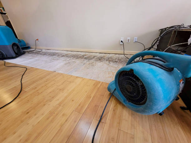 Reliable Basement Flood Cleanup contractor in Amherst, WI by Hirex Water Damage