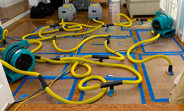 Professional Basement Flood Cleanup technician working in Amherst, WI